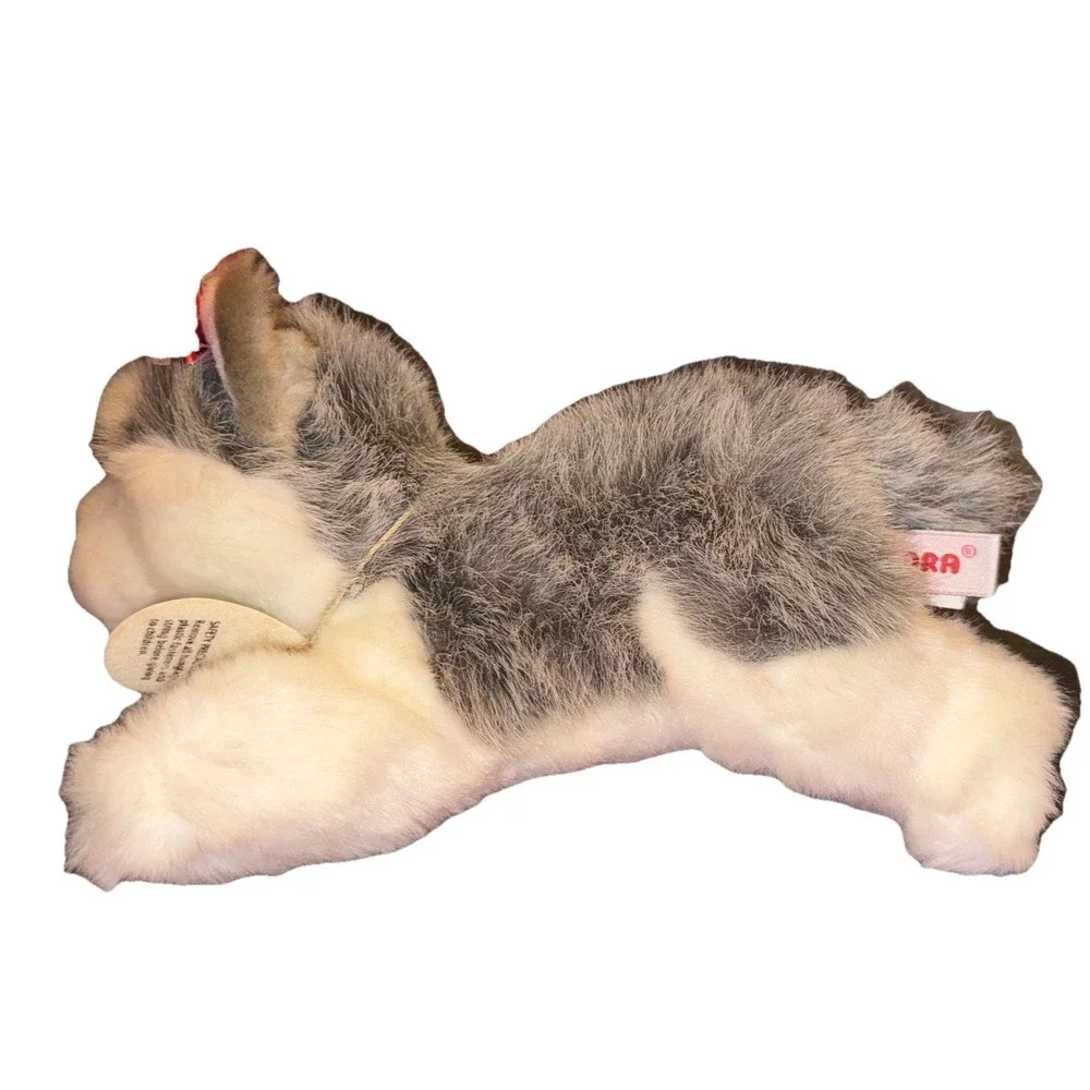 Aurora babies husky